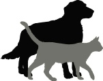 Dog and cat
